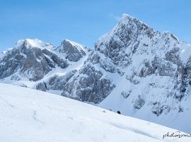 IMG 8053 : 2024_02_25_Aouille_de_Bostan, Scouts_2024_02_25_Aouille_de_Bostan_2024_02_25_Aouille_de_Bostan, Selection_2024_02_25_Aouille_de_Bostan, Zoom_2024_02_25_Aouille_de_Bostan