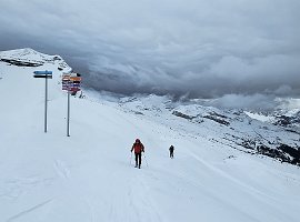 IMG-20241207-WA0006