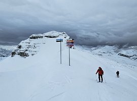 IMG-20241207-WA0007
