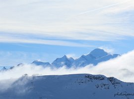 IMG_0420