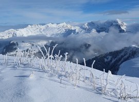 IMG_0426