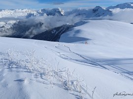 IMG_0429
