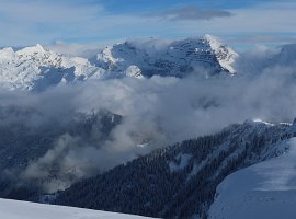IMG_0430