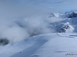 IMG_0445