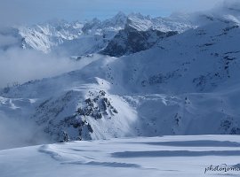 IMG_0446