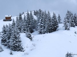 IMG_0453