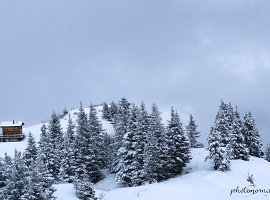 IMG_0454