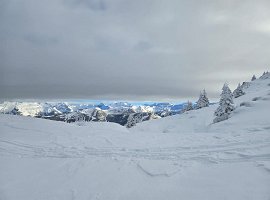 IMG-20250102-WA0008