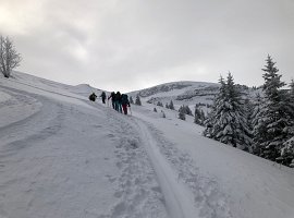 IMG_0875