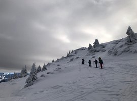 IMG_0878