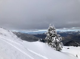 IMG_0880
