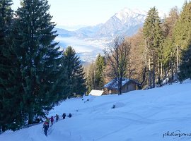 IMG_0731