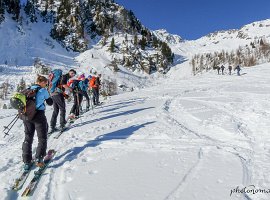 IMG_1129