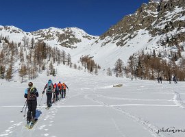 IMG_1134