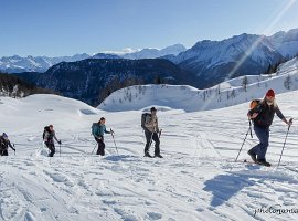IMG_1138