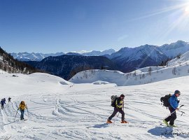 IMG_1141