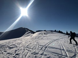 IMG_1069