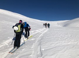 IMG_1080