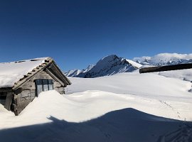 IMG_1083