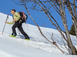 IMG_1500