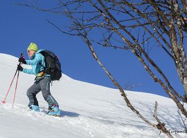 IMG_1508