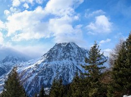 IMG_1509