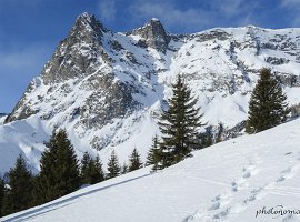 IMG_1512