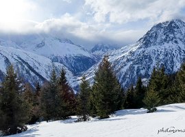 IMG_1513