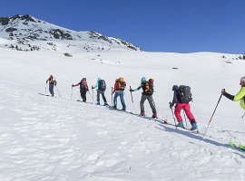 IMG_1514