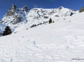 IMG_1516