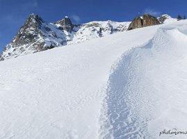 IMG_1520
