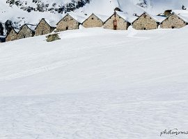 IMG_1532