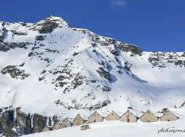 IMG_1533