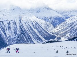 IMG_1544