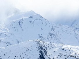 IMG_1545