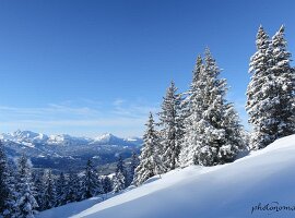 IMG_2016