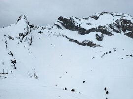 IMG-20250209-WA0055