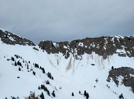 IMG-20250209-WA0056