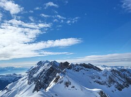 IMG-20250209-WA0050
