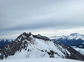 IMG-20250223-WA0012