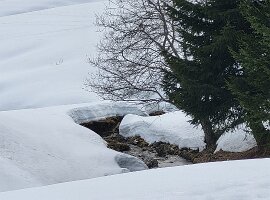 IMG-20250223-WA0015