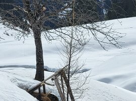 IMG-20250223-WA0019