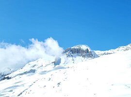 IMG-20250301-WA0394