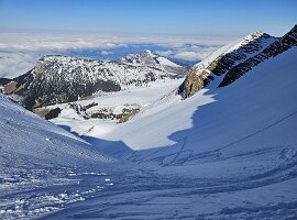 IMG-20250301-WA0329