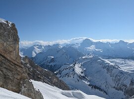 PXL_20250301_091411097