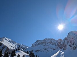 PXL_20250301_105029824