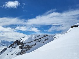 IMG-20250315-WA0014