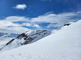 IMG-20250315-WA0016