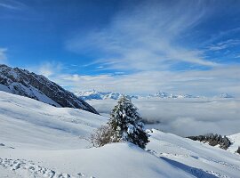 IMG-20250315-WA0020