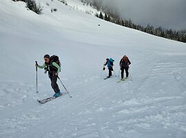 IMG-20250315-WA0023